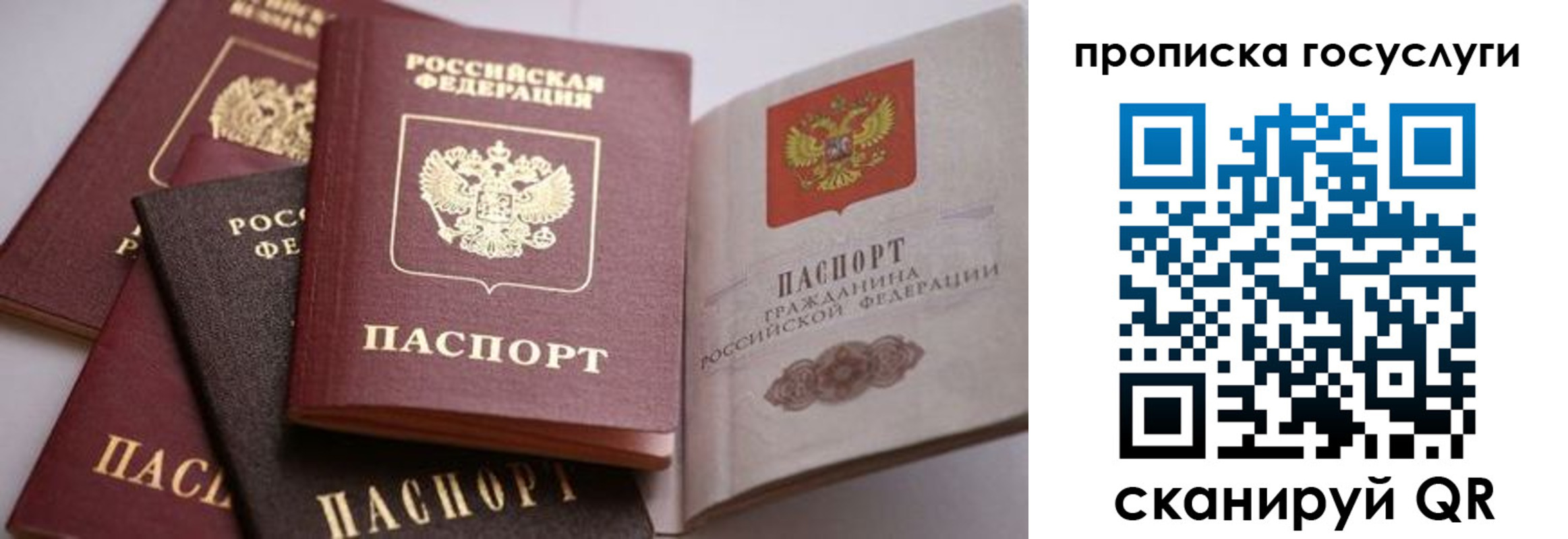 прописка иностранных граждан в Кировграде